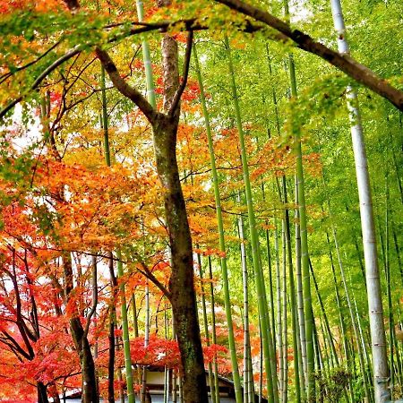 Appartamento Kyoto Yadomachi Nishijin Esterno foto